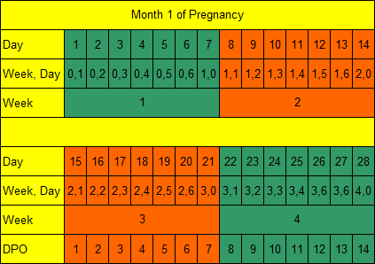 Weeks conception 2021 ⭐️ date from best calculator pregnancy 20 Weeks