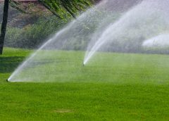 Irrigation system in Dubai