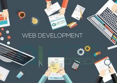 Custom Website Development