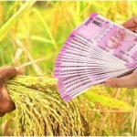 How to Apply for Kisan Credit Card Loan?