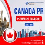 Immigration Consultants for Study Visa