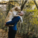 WellnessTherapists Your Mental Health Allies