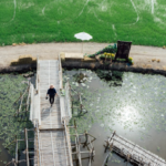 Wastewater Treatment