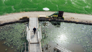 Wastewater Treatment