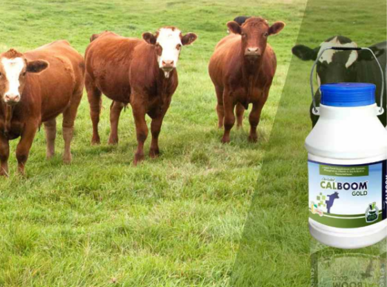 Veterinary PCD Franchise in Bihar | Trusted Veterinary Pharma Company