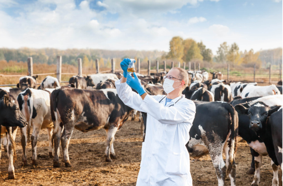 Veterinary PCD Franchise in Telangana | Reliable Veterinary Medicine Manufacturing